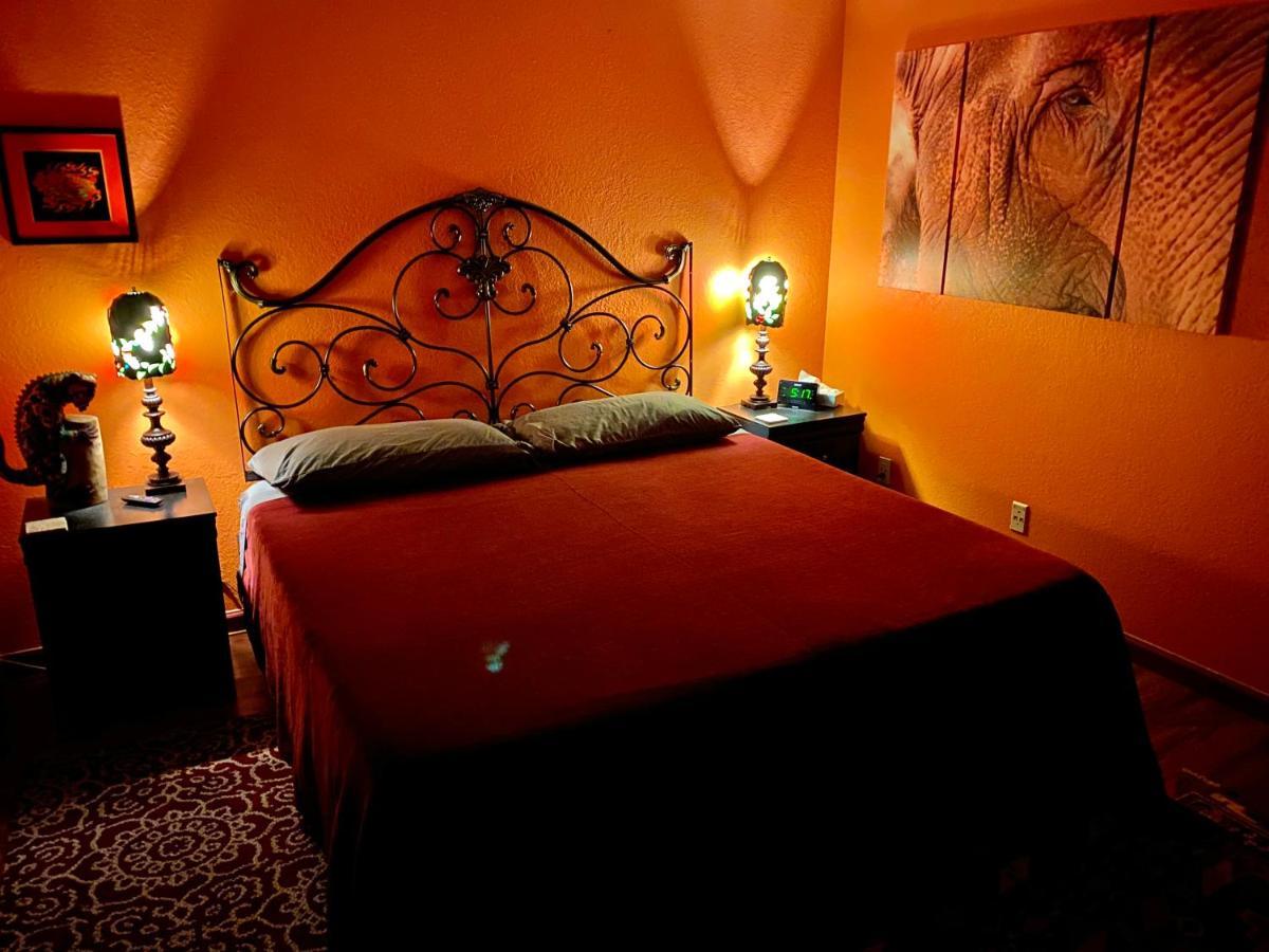 My Big Art Project Bed & Breakfast Санта Роза Екстериор снимка