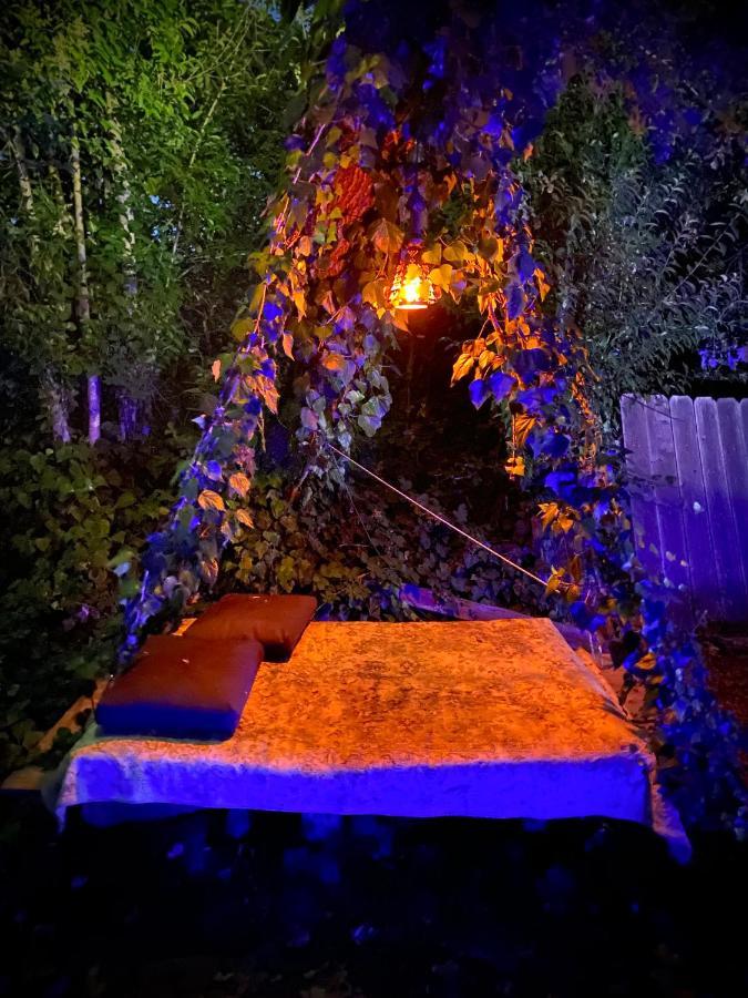 My Big Art Project Bed & Breakfast Санта Роза Екстериор снимка